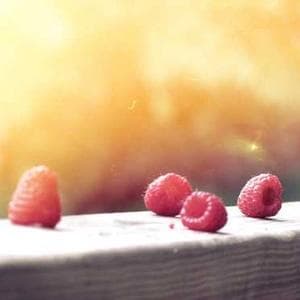 Modern Cotton Textile 104