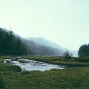 Premium African Print Fabric 107