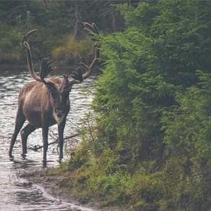 Exclusive Satin Cloth 48 4