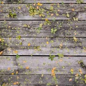 Modern Jacquard Textile 78