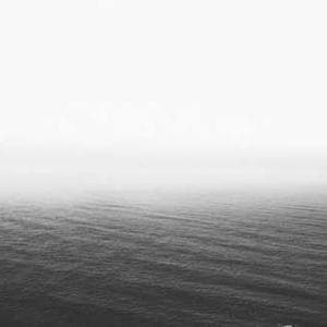 Designer Damask Textile 87