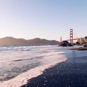 Designer Damask Textile 87 2