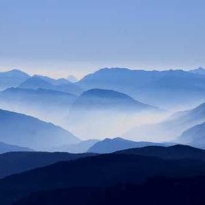 Elegant Chiffon Fabric 95