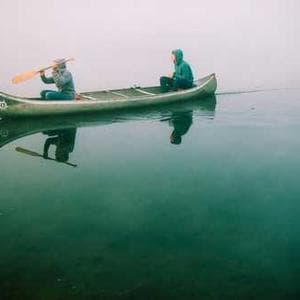 Elegant Chiffon Fabric 95 4